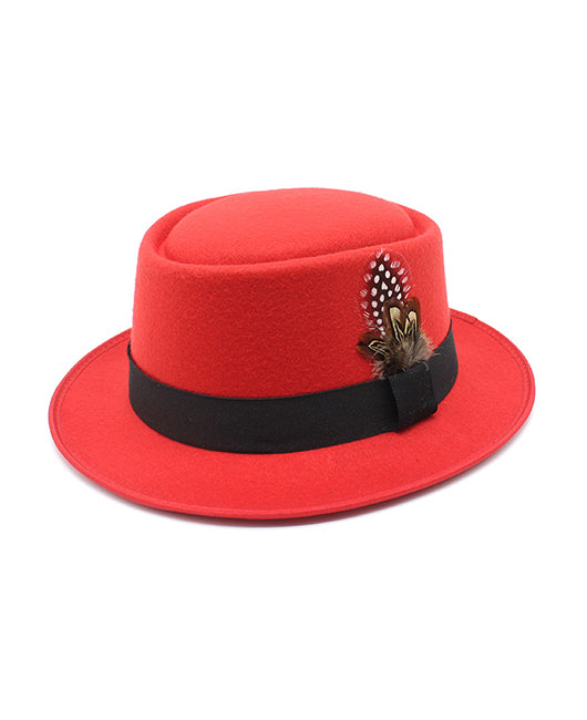 Simple Feather Design Fedora Hat